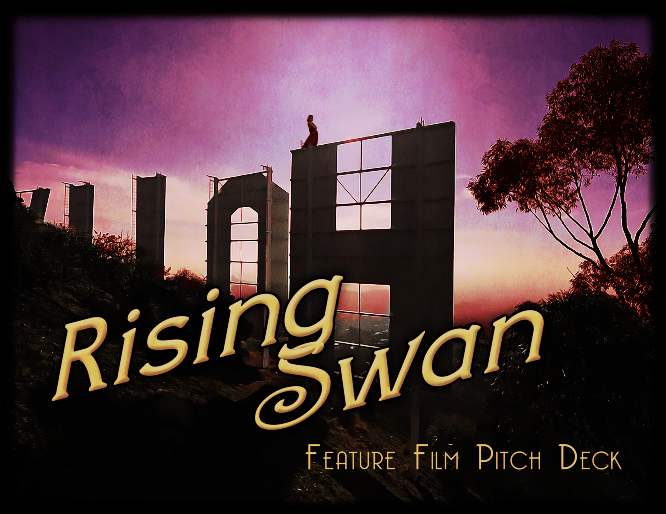 Rising Swan Pitch Deck Cover Page